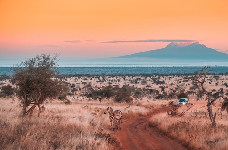 Tanzania: safari y contrastes de naturaleza y fauna