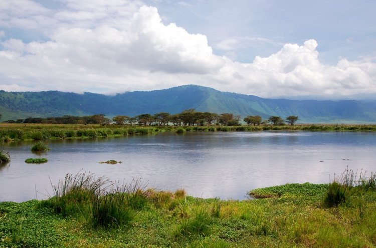 Tanzania: safari y contrastes de naturaleza y fauna