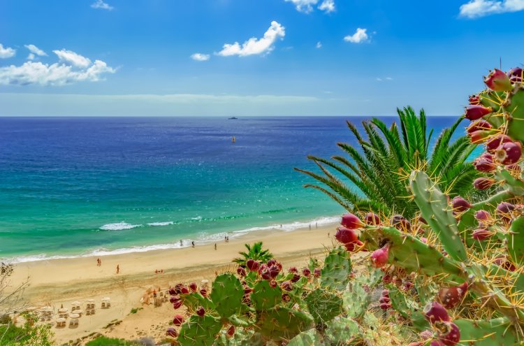 Escápate al paraíso: Fuerteventura con vuelos + Todo Incluido