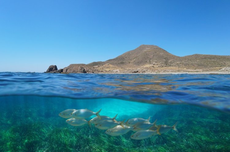 ¡Sintoniza con el mar en Aguadulce! Tu escapada en hotel 4* - Almería
