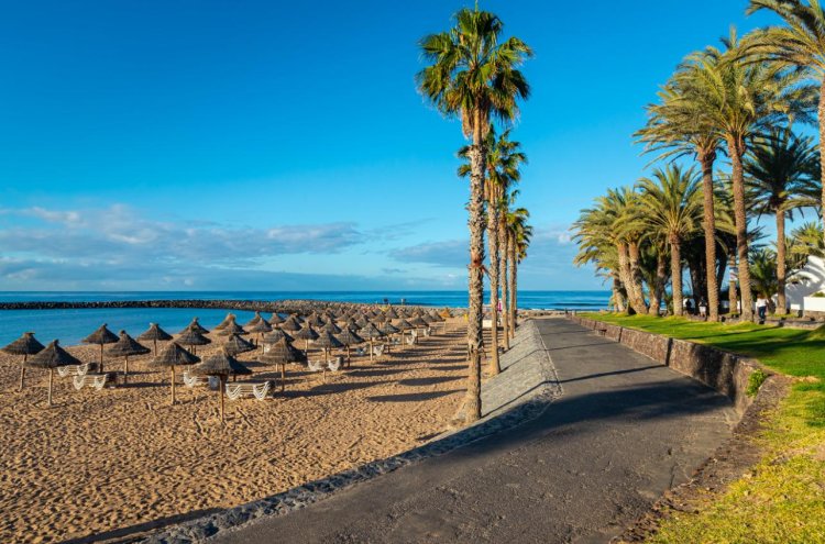 ¡Pon rumbo al sur de Tenerife! Una escapada entre sol y Atlántico