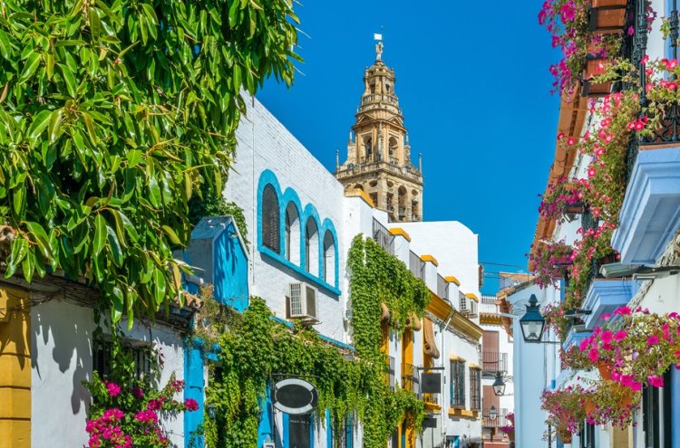 El placer de dormir en un cortijo andaluz a un paso de Córdoba - Destino
