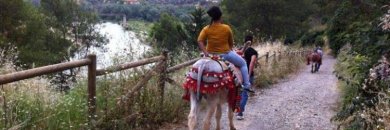 ¡Vistas al Guadalquivir + paseo en burro!