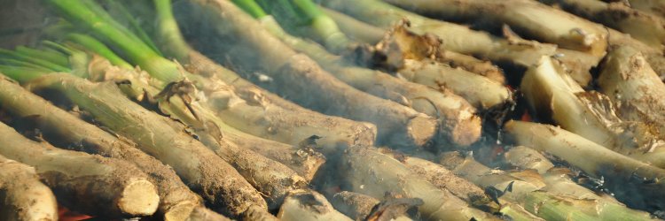 Nos vamos de calçotada cerca de Tarragona