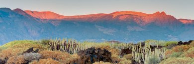  Puente de reyes en Tenerife con TODO INCLUIDO y spa