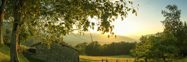 Naturaleza y gastronomía en Asturias