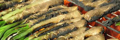Especial Calçotada en Platja d'Aro (Costa Brava)