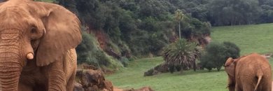 Parque de Cabárceno + baño agua mineromedicinal