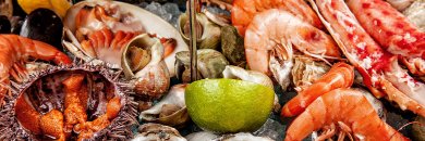 ¡Mariscada y spa en Cantabria!