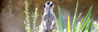 Cantabria con entrada al Parque de Cabárceno