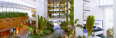 Escapada de lujo con spa en Benidorm. ¡Primer niño GRATIS!