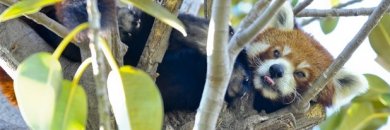 Puente de Octubre con entrada al Zoológico Selwo Aventura