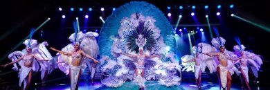 ¡Última hora! Espectáculo Aqua en Benidorm alojado en hotel 4*