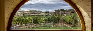 Escápate a la Ribera del Duero en hotel 4* con Spa