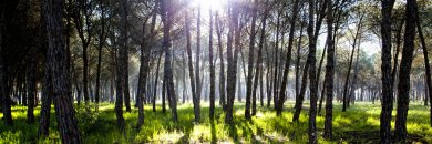 Hotel 3* de cuento en el norte de Portugal