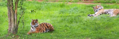 Cantabria con entrada al Parque Cabárceno