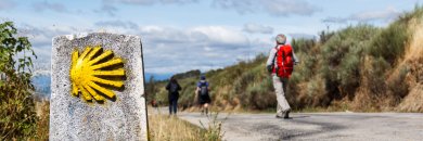 Vive y descubre el Camino de Santiago 