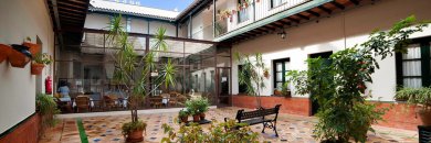 Conoce Sevilla en apartamento de Patio Andaluz