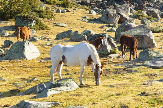 Caldea + Masaje + Hotel 3* Andorra - Destino