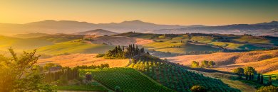 Verano cerca de Toscana en hotel 4* alojados en habitación Junior Suite con desayunos y barco incluido