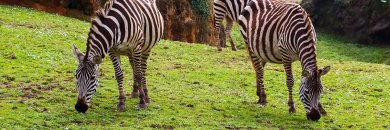 Cantabria en apartamento con entrada al parque de Cabárceno
