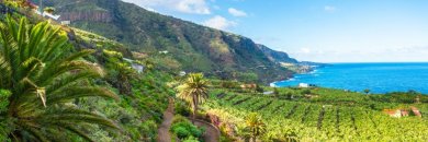 Playas de arena negra, senderos y pueblos pintorescos en el norte de Tenerife