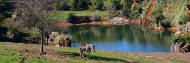 Cantabria con entrada al Parque de Cabárceno