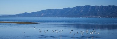 Hotel 4* en el Delta del Ebro con Pensión Completa ¡Niños viajan GRATIS!