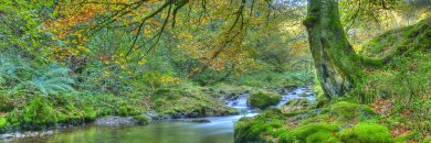 Escapada Rural en Pola de Lena (Asturias) 