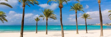 Escapada low-cost en Mallorca en hotel 3* con transporte en Ferry