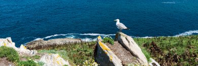 Veranea en las Rías Baixas (Galicia) con un paseo en barco a la Isla de Ons