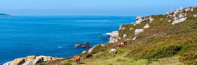 Disfruta de Galicia con billete de barco a las Islas Cíes