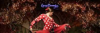 Hotel 4* en Madrid + Tablao Flamenco Torres Bermejas