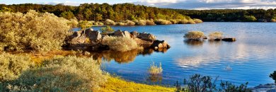 ¡Adults Only! Escapada rural en Sotillo del Rincón (Soria)