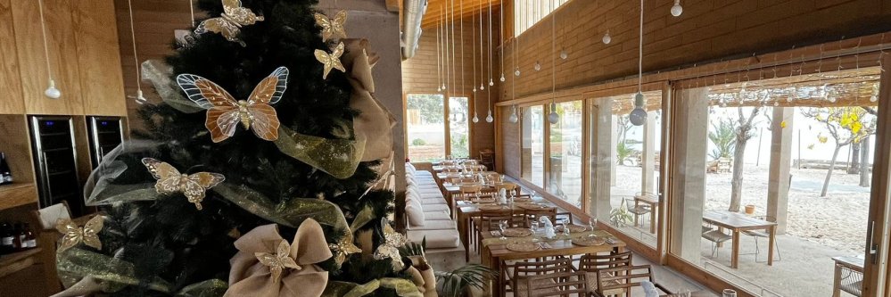 Camping en las puertas del Delta del Ebro ¡en primera línea de playa! 