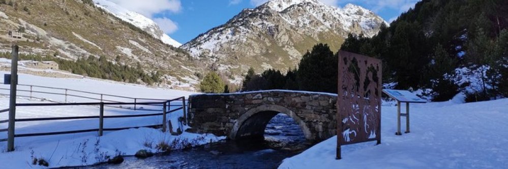 Andorra alojado en hotel 3*  ¡Niños hasta 12 años gratis!