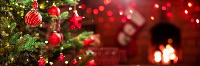 Navidades en Sierra Nevada con desayunos 