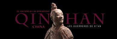 Disfruta de Alicante con visita sobre los Guerreros Xi'an