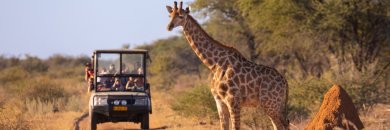 ¡ESPECIAL SEMANA SANTA! Safari en Kenia con vuelos incluidos