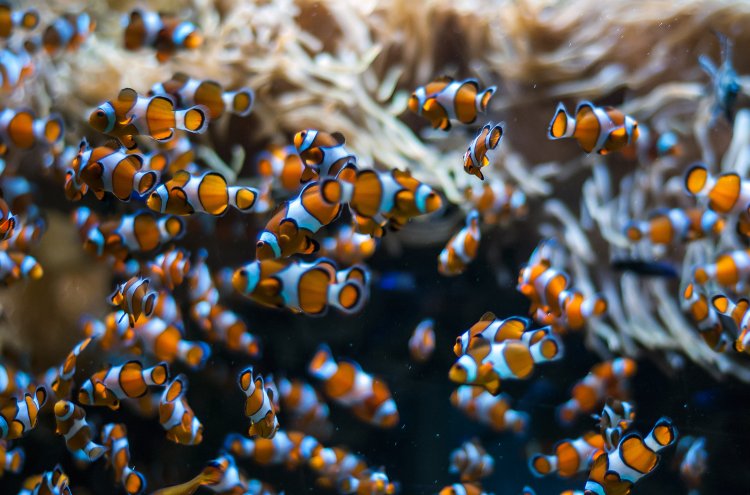 Hotel 4* en Valencia con Museo de las Ciencias u Oceanogràfic - Destino