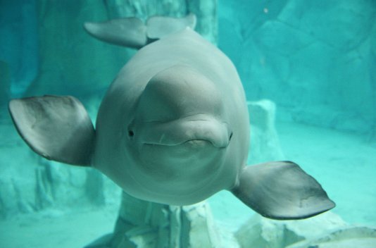 Hotel 4* en Valencia con Museo de las Ciencias u Oceanogràfic - Destino