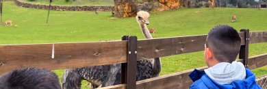 Cantabria con y sin entrada al Parque de Cabárceno