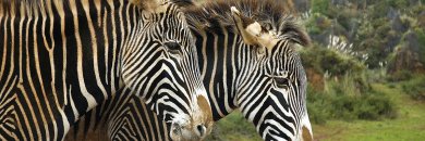 Cantabria con Parque de Cábárceno