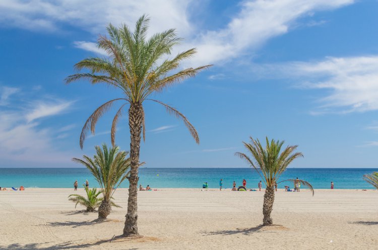 Hotel 4* en Miami Platja (Costa Dorada) ¡1er niño GRATIS! - Destino