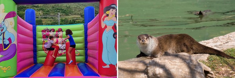 Verano en la Vall de Boí con visita en el Centre de Fauna de Pont de Suert