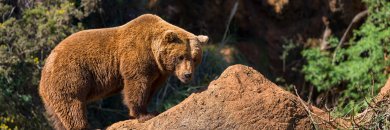 ¡Escápate a Suances y descubre Cantabria con opción a Cabárceno!