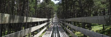 Disfruta del Tobotronc de Naturland en hotel céntrico 4* en Andorra con zona de aguas