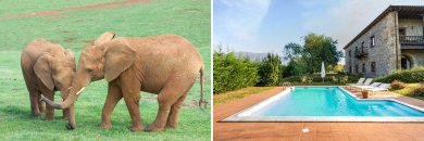 Escápate a Cabárceno (Cantabria) con desayunos en Hotel Balneario 3*