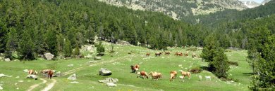 Desconexión total en el Pirineo Catalán