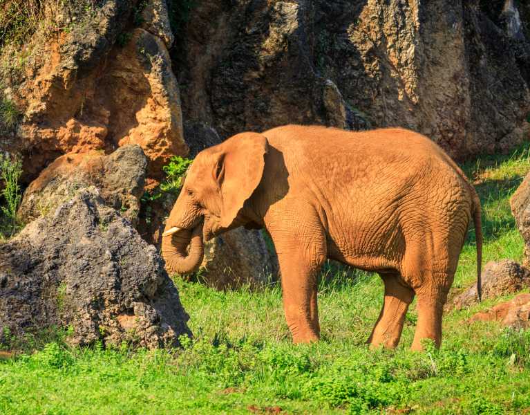 Cantabria al completo: Tu escapada con entradas al Parque de Cabárceno